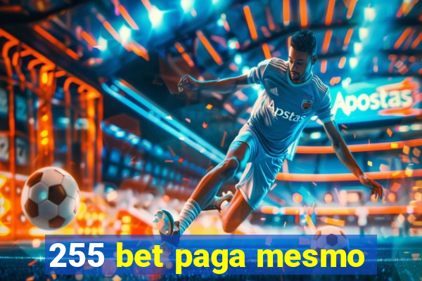 255 bet paga mesmo